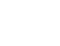 KnicksNation logo
